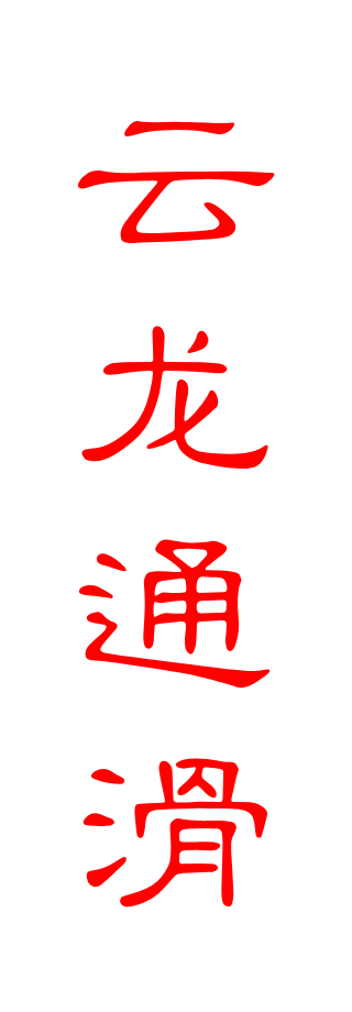 云龙通滑票